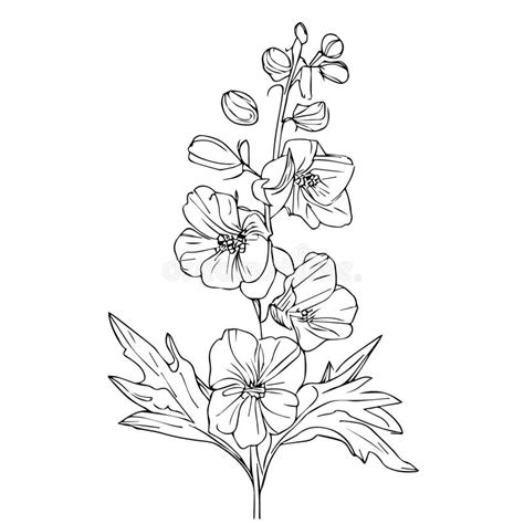 Simple Larkspur Flower Drawing, Outline Larkspur Flower Drawing ...