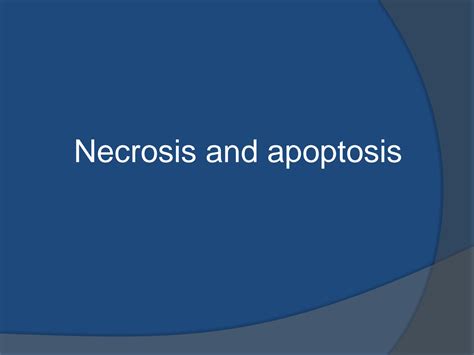 SOLUTION Necrosis And Apoptosis Studypool