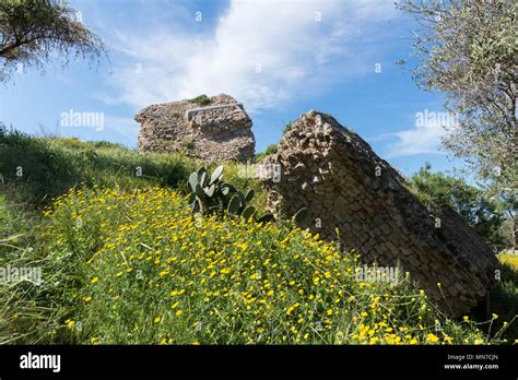 Visiting Ashkelon National Park, Israel Stock Photo - Alamy