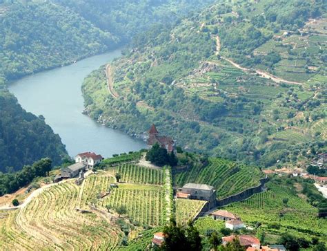 Douro River And Terraces Douro River Mesão Frio R Flickr