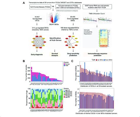 The Landscape Of Distribution Of Degs Among All Tumors A Workflow