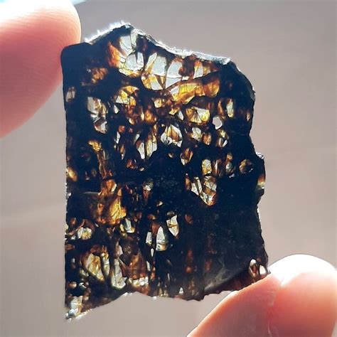 Pallasite Translucide RNF 7853 1 8 G Catawiki