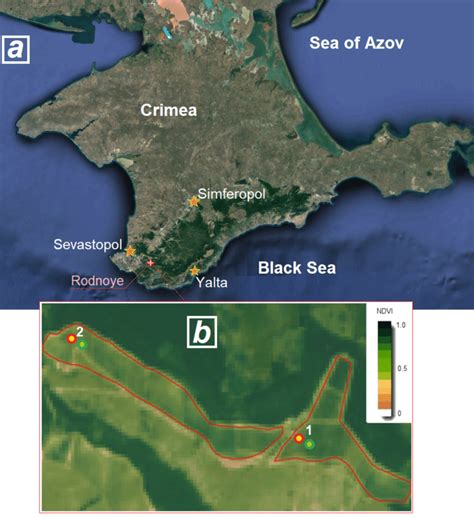 Site of Vineyard near Rodnoye (a), and placement of experimental points... | Download Scientific ...