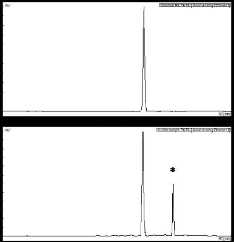 Typical Hplc Chromatogram Of Pure Standard Of Rosmarinic Acid Ra Top