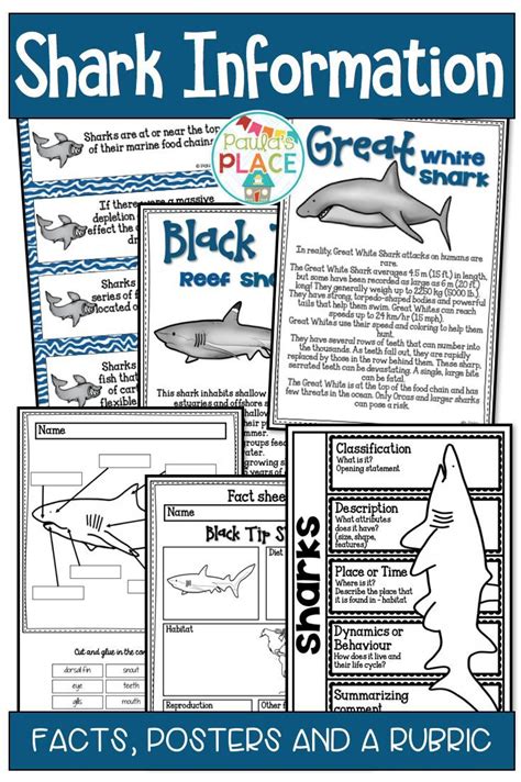 This Pack Provides Information About Sharks This Information Will