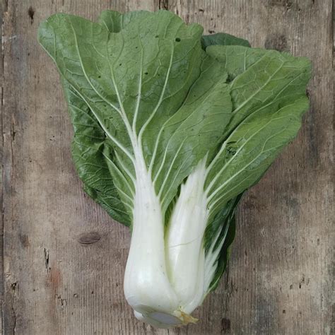 Chou De Chine Bok Choy Pak Choi Brassica Rapa Subsp Chinensis Graines