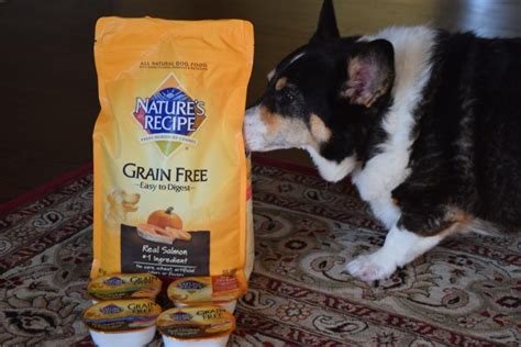 Choosing an Affordable Grain Free Pet Food #NaturesRecipe - Some Pets