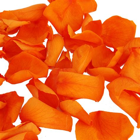 Orange Rose Petals 1 Litre Verdi Preserved