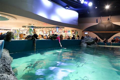 Slideshow: tour the new Ripley’s Aquarium with 18 exclusive photos - Toronto Life