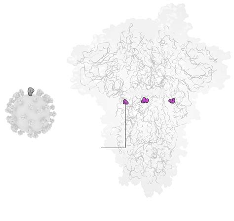 The coronavirus is mutating - The Washington Post