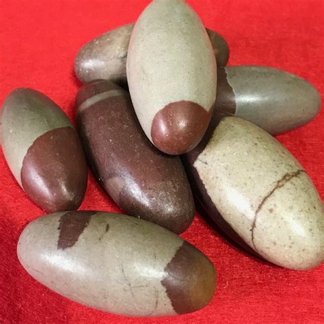 Comprar PIEDRA SHIVA LINGAM AUTENTICA Online Yemanyaesoteric Es