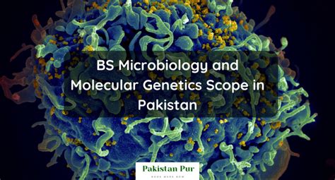 Bs Microbiology And Molecular Genetics Scope In Pakistan