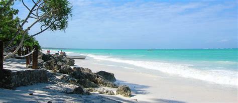 Tanzania and Zanzibar Group tour | Budget Safari and beach