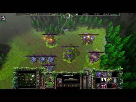 Night Elf Panda And Tons Of Sentinel Units Warcraft III Reforged