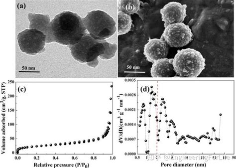 Acs Ami：用于药物控释的新型纳米纤维素基水凝胶 知乎