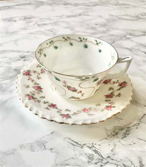 Antique White Porcelain Cup And Saucer Painted With Pink Flowers