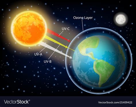 Uv radiation diagram realistic Royalty Free Vector Image