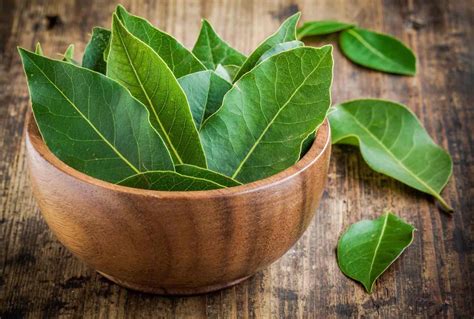 What Are Bay Leaves A Guide To Bay Leaves Tilda Rice Ireland