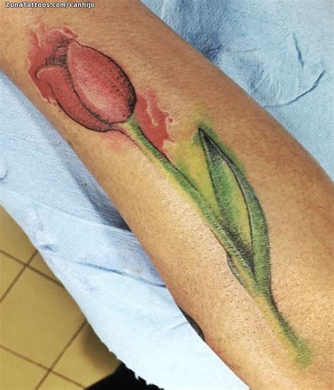 Tatuaje De Tulipanes Flores Acuarela