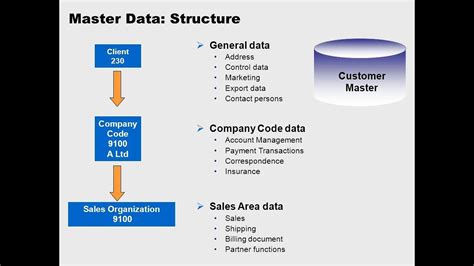 Sap Master Data Sap Ewm Master Data Mm Master Data Youtube