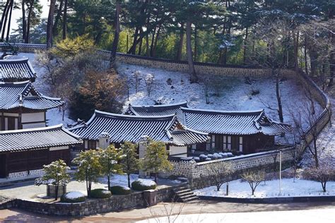 Things to do in Gangneung - Travelregrets