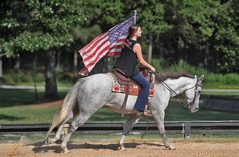 Leo | Horse of My Dreams