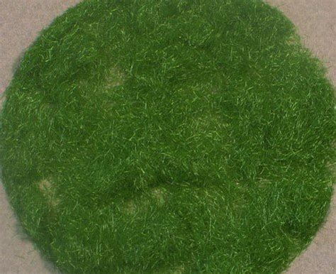 6.5mm Static Grass Flock – Summer (50g) DioramaPresepe 006-32