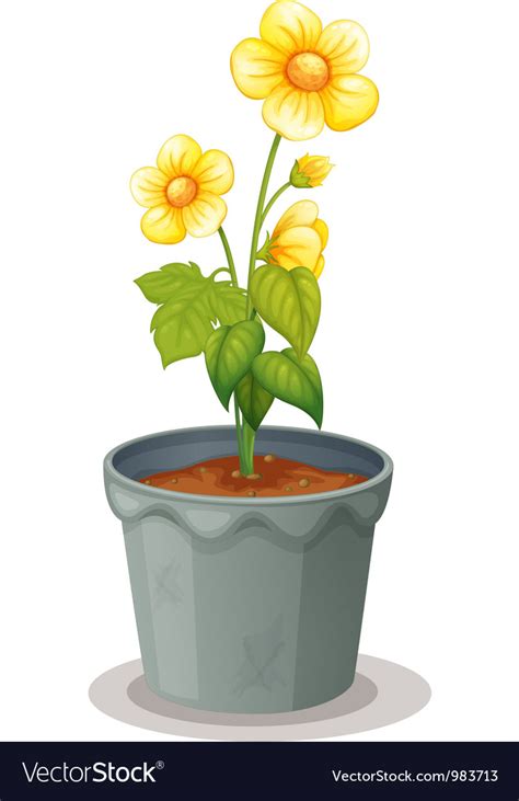 Flower Pot Royalty Free Vector Image VectorStock