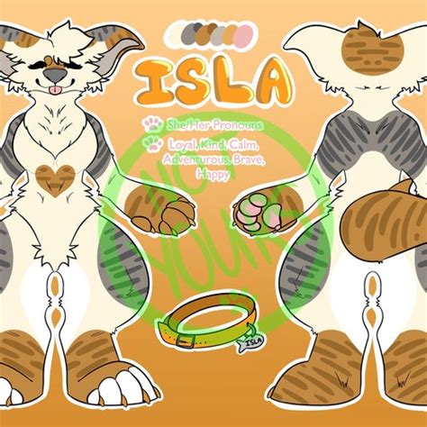 Fursona Reference Sheet Commission Custom Ref Sheet Art Etsy