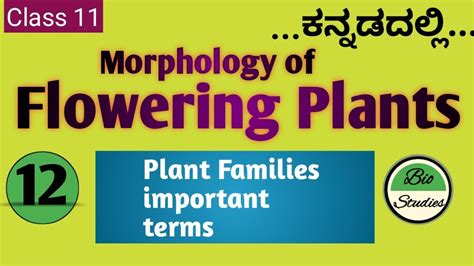 Class 11 ಕನ್ನಡದಲ್ಲಿ Morphology Of Flowering Plants 12 Families