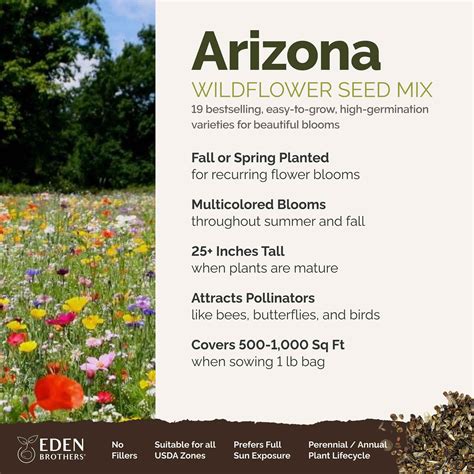 Plantas Que Atraen Mariposas En Arizona Jardín Botánico Del Desierto
