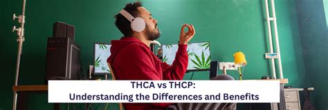 Thca Vs Thcp Key Differences And Benefits Explained Mpc