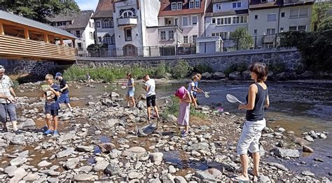 Beobachtet Und Geh Rt Waldkirch Badische Zeitung