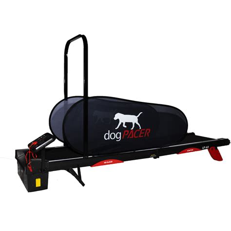 The Worlds First Smart Dog Treadmill dogPACER 4.0 - Shop Now