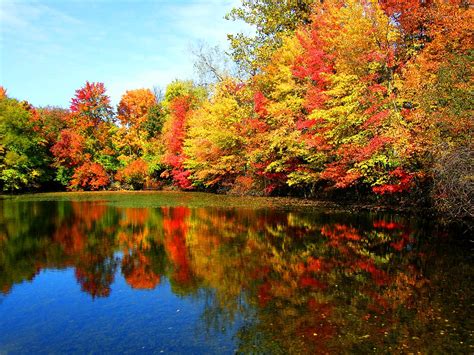 Gorgeous Fall Reflection Stanley Zimny Thank You For Million