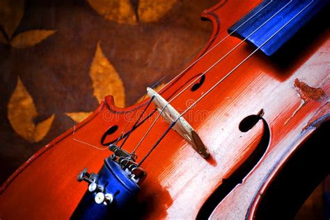 Violin Details Stock Photo Image Of String Detail Instrument 28205176