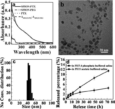 A Uv Vis Spectra Of Spion Ptx Spion Peg Ptx In Ethanol And The