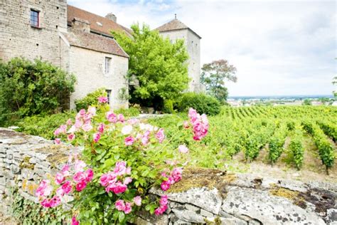 Burgundy Wine Tour Private Half Day Trip From Dijon To Côte De Beaune