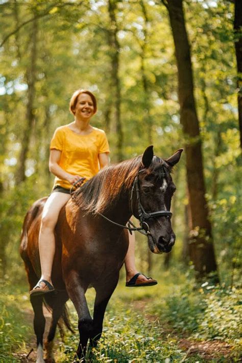 Actividades Y Naturaleza El Mirador De Los Pirineos Hotel Rural En Jaca