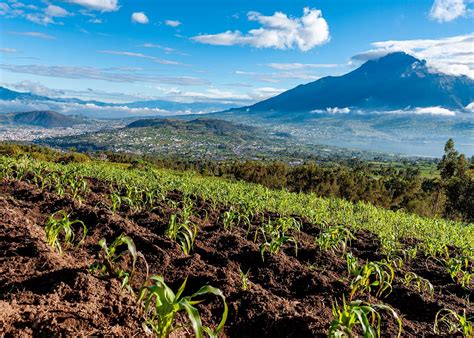 Luxury Ecuador & Galapagos tour | Audley Travel UK