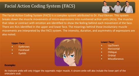 Facial Action Coding System (FACS) - FreshSkills