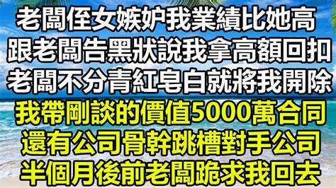 老闆侄女嫉妒我業績比她高，跟老闆告黑狀說我拿高額回扣，老闆不分青紅皂白就將我開除，我帶剛談的價值5000萬合同，還有公司骨幹跳槽對手公司，半個