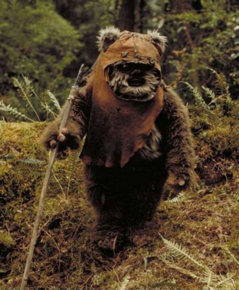 Ewoks Wiki Star Wars Amino