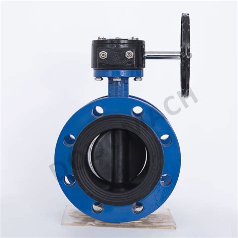 Worm Actuated Flanged Butterfly Valve Dodomach Pneumatic