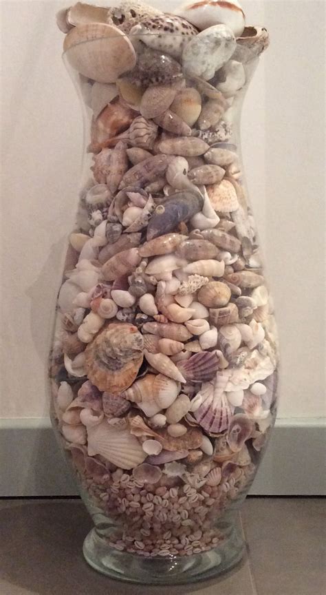 Shell Display Jar Display Tall Glass Vases Large Vase Diy Vase