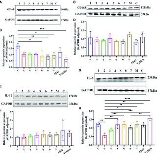 Effects Of Drugs On The Expression Of Inflammation Related Proteins In