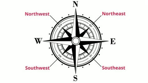 Label The Compass Rose