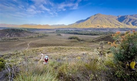 South Coast Track Planning and Tips — Slower Hiking