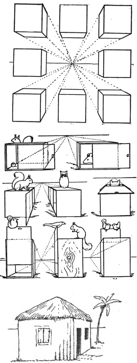 draw     drawing basic shapes  easy