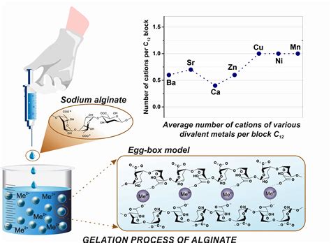 Ion Induced Polysaccharide Gelation Peculiarities Of Alginate Egg Box